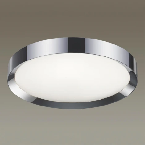 Настенно-потолочный светильник Odeon Light Lunor 4947/60CL