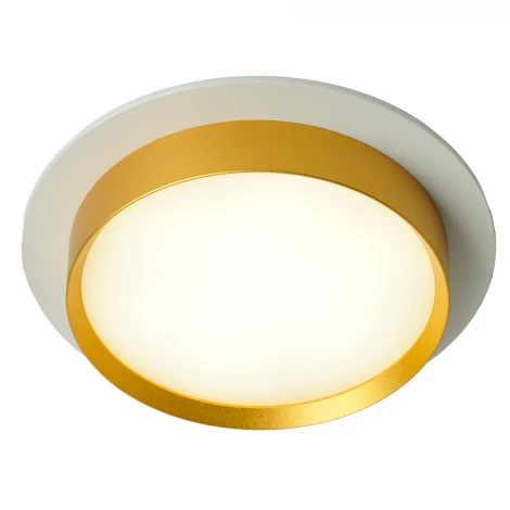 Светильник потолочный встраиваемый Feron DL507 51354