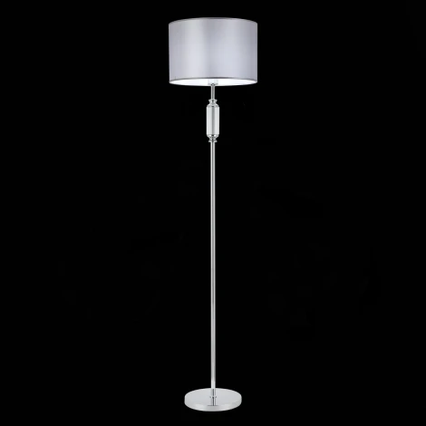 Торшер Evoluce Snere SLE107205-01