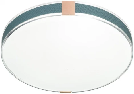 Настенно-потолочный светильник Sonex Otiga Blue 7677/EL COLOR SN пластик/серо-гол./зол. LED 70Вт 3000-6000K D493 IP43 пульт ДУ (220V, круглые)