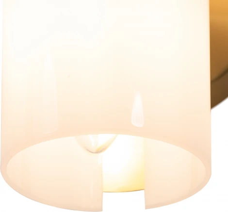 Бра Freya Fiore FR5368WL-02BS (220V, круглые)