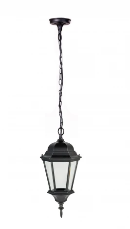 Уличный светильник подвесной Oasis Light ASTORIA 2 91405L cover Bl (220V, на цепи, IP44)