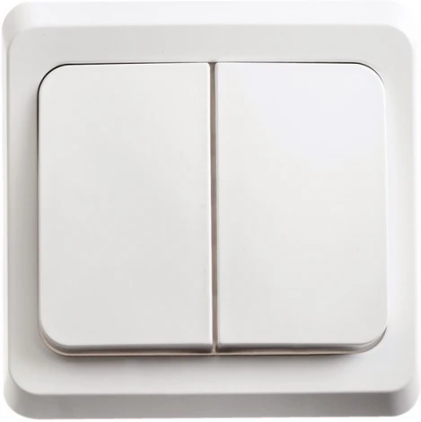 Выключатель встраиваемый двухклавишный с подсветкой (белый) Systeme Electric Этюд BC10-006B