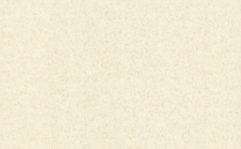 Обои виниловые Marburg Padua Classic 57303 10,05 x 1,06 м