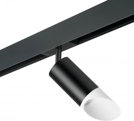 Трековый светильник однофазный 220V Lightstar Rullo PRO43736 (круглые)