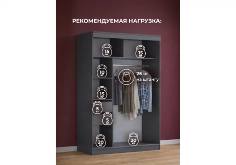 Шкаф-купе Айвор 1,5 м Хандис Woodville 614739