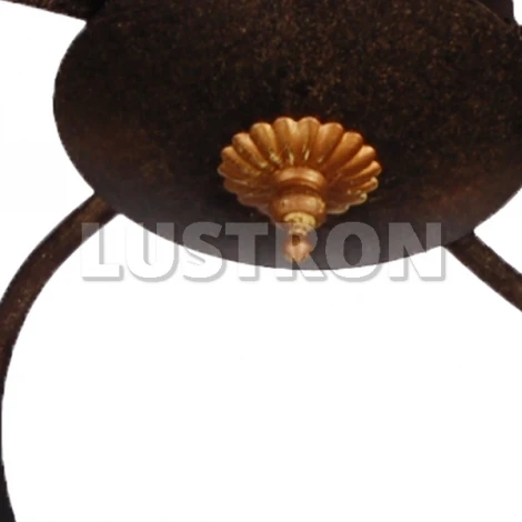 Потолочная люстра Arte Lamp Joy A1050PL-5BR