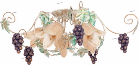 Luminex Grape 544