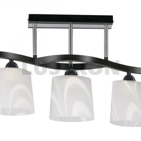 Потолочная люстра MW-Light Альфа 324011605