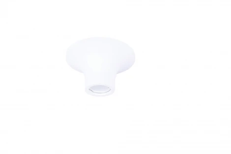 Потолочный светильник Donolux DL260G