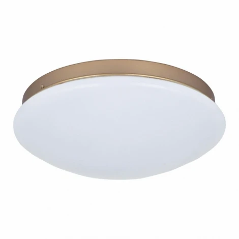 Потолочный светильник F-Promo Ledante 2466-2C