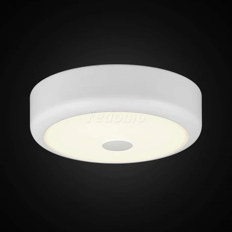 Настенно-потолочный светильник Citilux Фостер-1 CL706110