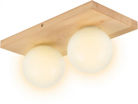 Потолочный светильник прямоугольный Мелодия Света SS1N 000036815