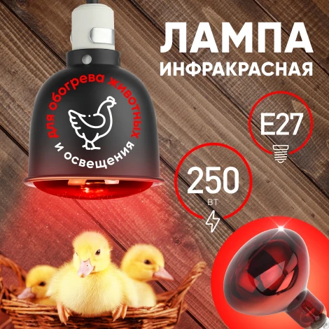 Лампочка инфракрасная E27 220 Вт ЭРА ИКЗК 220-250 R127