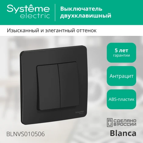 Выключатель встраиваемый двухклавишный (антрацит) Systeme Electric Blanca BLNVS010506