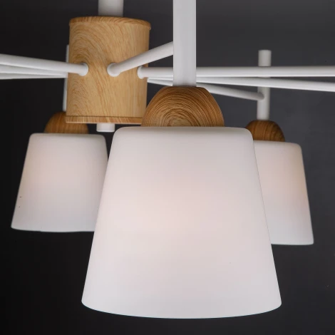 Потолочная люстра Eurosvet Fresco 70085/8 белый (220V)