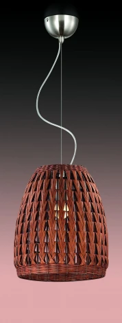 Подвесной светильник Odeon Light Keni 2491/1