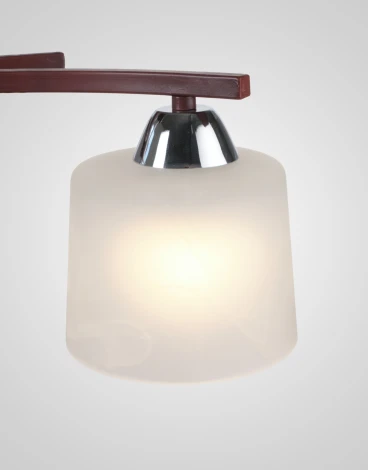 Потолочная люстра на штанге Мелодия Света SS1N 000024060