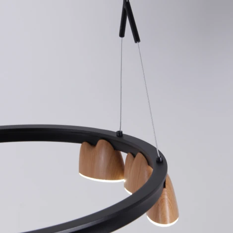 Подвесной светильник Favourite Interline 4266-21P (LED, 220V, на тросе)