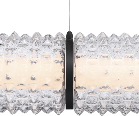 Подвесной светильник ST Luce Saguaro SL6144.413.01 черный/прозрачный LED 1*37W 4000K (220V, на тросе)