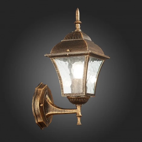 Настенный фонарь уличный ST Luce Domenico SL082.201.01
