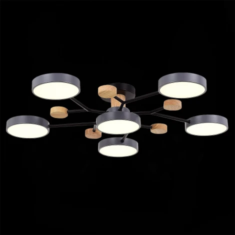 Потолочная люстра на штанге Evoluce Faema SLE6006-702-06