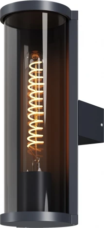 Настенный уличный светильник Maytoni Conf O451WL-01GF (220V, круглые, IP54)