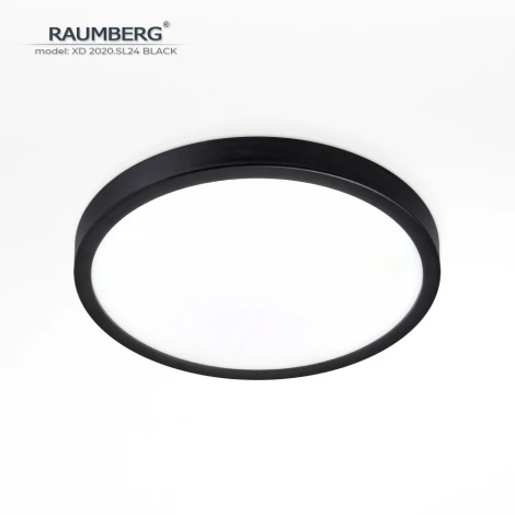 Потолочный светильник светодиодный Raumberg XD2020.SL24 Black