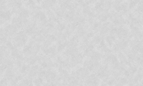 Обои виниловые Erismann Millennium 60052-10 10,05 x 1,06 м