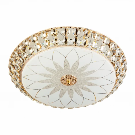 Потолочный светильник светодиодный с пультом с регулировкой цветовой температуры и яркости LED4U LED4U L1111-600 GD