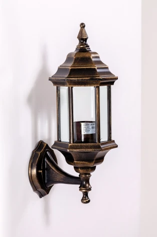 Настенный фонарь уличный Oasis Light Bern 2 S 89801