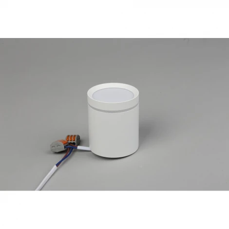 Накладной точечный светильник Omnilux Capurso OML-102409-05 (LED, 220V, круглые)