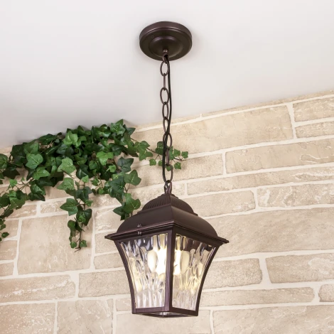 Уличный подвесной светильник 1009H Elektrostandard Apus GL a043114