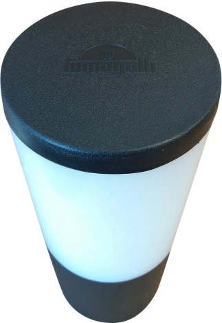 Наземный светильник Fumagalli Amelia DR2.573.000.AYF1R (220V, IP55)