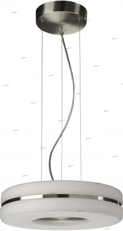 Massive Cinnamon 33480-17-10