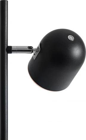 Торшер Freya Unique FR5279FL-L7B (LED, 220V, выключатель)