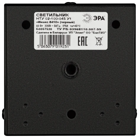 Наземный светильник ЭРА ИНОКС-8410