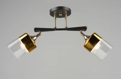 Потолочная люстра на штанге  SL4350-2 CF+GD Мелодия Света SL1N 000065851