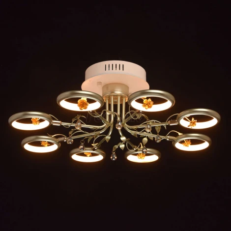 Потолочная люстра MW-Light Ивонна 459011512