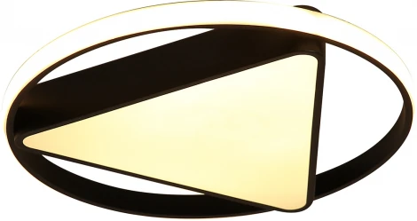 Потолочный светильник Moderli Solo V1100-CL