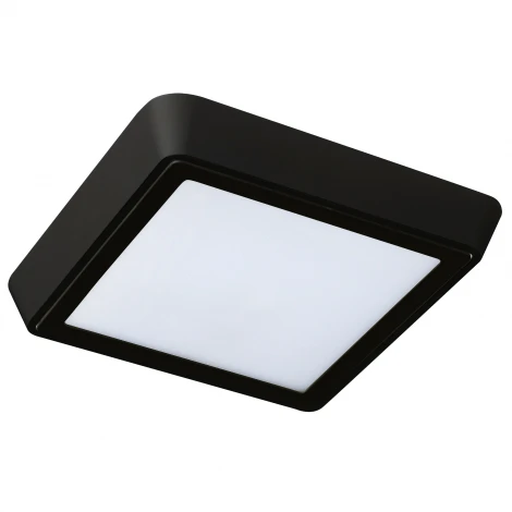Настенно-потолочный светильник Lightstar Urbano 216874 (LED, 220V, IP65)