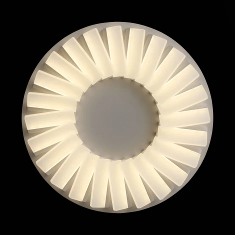 Потолочная люстра ST Luce Tifoso SL837.502.24