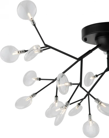 Люстра на штанге потолочная Florencia FR5049CL-27B (220V, лепестки)