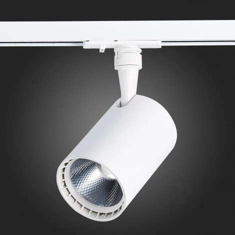 Трековый светильник ST Luce Cami ST351.536.15.36 (LED, 220V, круглые, IP22)