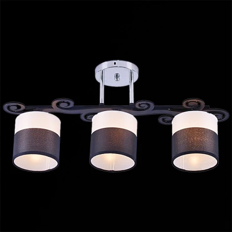 Потолочная люстра на штанге Reluce 05019-0.3-03C BK+CR