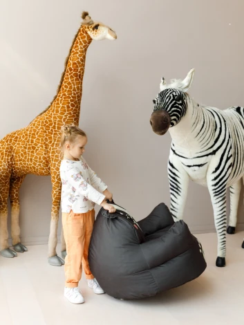 Пуфик Dreambag Медвежонок (Классический+PushUp, L) 3936021