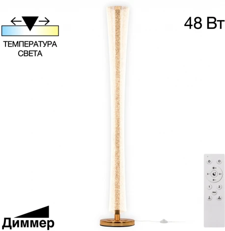 Торшер светодиодный Citilux Fanny CL213921 (регулировка яркости, 220V, пульт управления, выключатель, круглые, звездное небо)