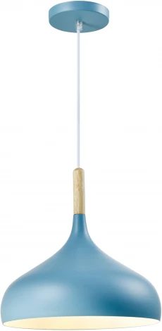 Подвесной светильник V1295-1P Eline 1*E27*60W (220V, на проводе, круглые)