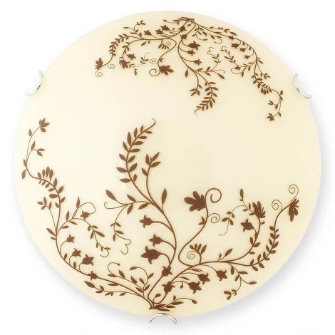 Настенно-потолочный светильник Toplight Aldor TL9192Y-02WH