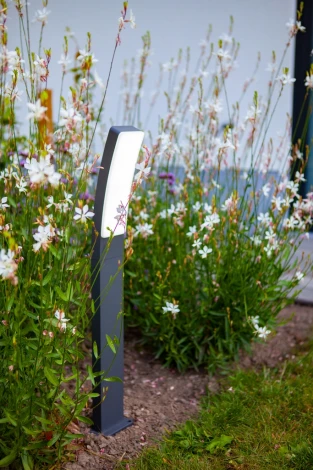 Наземный светильник светодиодный Oasis Light BRISBANE LED W2889blt-740 Gr